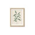 Picture of Swaying Foliage I _GroupedProduct_Rectangle_Portrait_Framed_Matted_