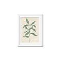 Picture of Swaying Foliage I _GroupedProduct_Rectangle_Portrait_Framed_Matted_