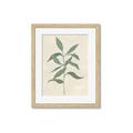 Picture of Swaying Foliage I _GroupedProduct_Rectangle_Portrait_Framed_Matted_