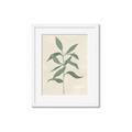 Picture of Swaying Foliage I _GroupedProduct_Rectangle_Portrait_Framed_Matted_