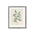 Picture of Swaying Foliage I _GroupedProduct_Rectangle_Portrait_Framed_Matted_