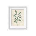 Picture of Swaying Foliage I _GroupedProduct_Rectangle_Portrait_Framed_Matted_
