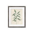 Picture of Swaying Foliage I _GroupedProduct_Rectangle_Portrait_Framed_Matted_