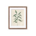 Picture of Swaying Foliage I _GroupedProduct_Rectangle_Portrait_Framed_Matted_