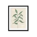 Picture of Swaying Foliage I _GroupedProduct_Rectangle_Portrait_Framed_Matted_
