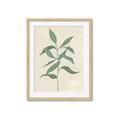 Picture of Swaying Foliage I _GroupedProduct_Rectangle_Portrait_Framed_Matted_