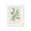 Picture of Swaying Foliage I _GroupedProduct_Rectangle_Portrait_Framed_Matted_
