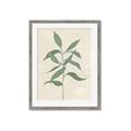 Picture of Swaying Foliage I _GroupedProduct_Rectangle_Portrait_Framed_Matted_