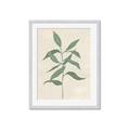 Picture of Swaying Foliage I _GroupedProduct_Rectangle_Portrait_Framed_Matted_