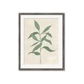 Picture of Swaying Foliage I _GroupedProduct_Rectangle_Portrait_Framed_Matted_