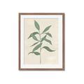 Picture of Swaying Foliage I _GroupedProduct_Rectangle_Portrait_Framed_Matted_