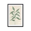 Picture of Swaying Foliage I _GroupedProduct_Rectangle_Portrait_Framed_Matted_