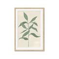 Picture of Swaying Foliage I _GroupedProduct_Rectangle_Portrait_Framed_Matted_