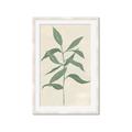 Picture of Swaying Foliage I _GroupedProduct_Rectangle_Portrait_Framed_Matted_