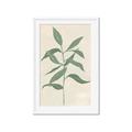Picture of Swaying Foliage I _GroupedProduct_Rectangle_Portrait_Framed_Matted_
