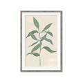 Picture of Swaying Foliage I _GroupedProduct_Rectangle_Portrait_Framed_Matted_