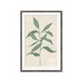 Picture of Swaying Foliage I _GroupedProduct_Rectangle_Portrait_Framed_Matted_