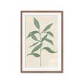 Picture of Swaying Foliage I _GroupedProduct_Rectangle_Portrait_Framed_Matted_