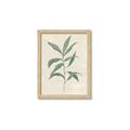 Picture of Swaying Foliage II _GroupedProduct_Rectangle_Portrait_Framed_Matted_