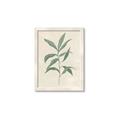 Picture of Swaying Foliage II _GroupedProduct_Rectangle_Portrait_Framed_Matted_