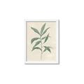 Picture of Swaying Foliage II _GroupedProduct_Rectangle_Portrait_Framed_Matted_