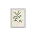 Picture of Swaying Foliage II _GroupedProduct_Rectangle_Portrait_Framed_Matted_