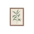 Picture of Swaying Foliage II _GroupedProduct_Rectangle_Portrait_Framed_Matted_