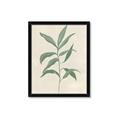 Picture of Swaying Foliage II _GroupedProduct_Rectangle_Portrait_Framed_Matted_