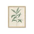 Picture of Swaying Foliage II _GroupedProduct_Rectangle_Portrait_Framed_Matted_