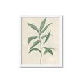 Picture of Swaying Foliage II _GroupedProduct_Rectangle_Portrait_Framed_Matted_