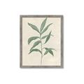 Picture of Swaying Foliage II _GroupedProduct_Rectangle_Portrait_Framed_Matted_