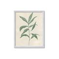 Picture of Swaying Foliage II _GroupedProduct_Rectangle_Portrait_Framed_Matted_