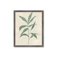 Picture of Swaying Foliage II _GroupedProduct_Rectangle_Portrait_Framed_Matted_
