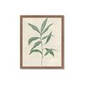 Picture of Swaying Foliage II _GroupedProduct_Rectangle_Portrait_Framed_Matted_