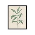 Picture of Swaying Foliage II _GroupedProduct_Rectangle_Portrait_Framed_Matted_