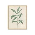 Picture of Swaying Foliage II _GroupedProduct_Rectangle_Portrait_Framed_Matted_