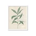 Picture of Swaying Foliage II _GroupedProduct_Rectangle_Portrait_Framed_Matted_