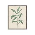 Picture of Swaying Foliage II _GroupedProduct_Rectangle_Portrait_Framed_Matted_