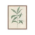 Picture of Swaying Foliage II _GroupedProduct_Rectangle_Portrait_Framed_Matted_