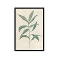 Picture of Swaying Foliage II _GroupedProduct_Rectangle_Portrait_Framed_Matted_
