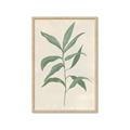 Picture of Swaying Foliage II _GroupedProduct_Rectangle_Portrait_Framed_Matted_