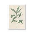 Picture of Swaying Foliage II _GroupedProduct_Rectangle_Portrait_Framed_Matted_