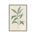 Picture of Swaying Foliage II _GroupedProduct_Rectangle_Portrait_Framed_Matted_