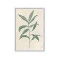 Picture of Swaying Foliage II _GroupedProduct_Rectangle_Portrait_Framed_Matted_
