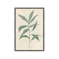 Picture of Swaying Foliage II _GroupedProduct_Rectangle_Portrait_Framed_Matted_