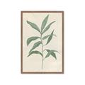 Picture of Swaying Foliage II _GroupedProduct_Rectangle_Portrait_Framed_Matted_