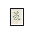 Picture of Swaying Foliage II _GroupedProduct_Rectangle_Portrait_Framed_Matted_