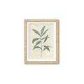 Picture of Swaying Foliage II _GroupedProduct_Rectangle_Portrait_Framed_Matted_
