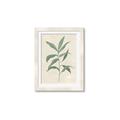 Picture of Swaying Foliage II _GroupedProduct_Rectangle_Portrait_Framed_Matted_