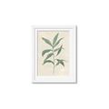 Picture of Swaying Foliage II _GroupedProduct_Rectangle_Portrait_Framed_Matted_